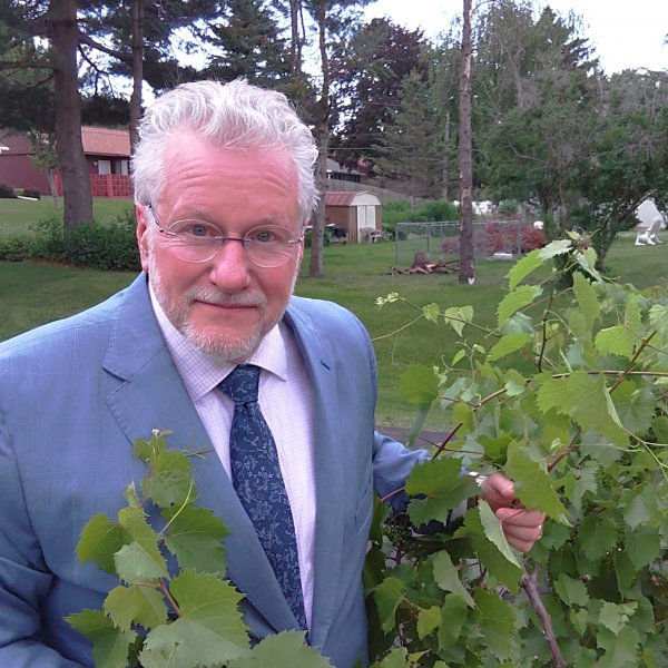 Grafting grapevines, Olive Trees & Whole Life Insurance