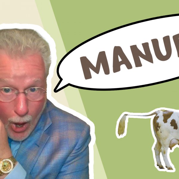 Manure